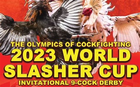 sultada live|WORLD SLASHER CUP .